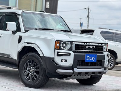2025 Toyota LAND CRUISER 250 thumbnail 13