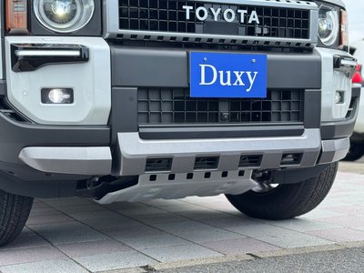2025 Toyota LAND CRUISER 250 thumbnail 17