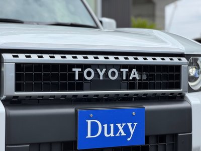 2025 Toyota LAND CRUISER 250 thumbnail 15