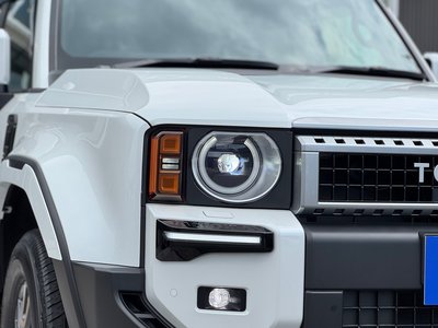 2025 Toyota LAND CRUISER 250 thumbnail 20