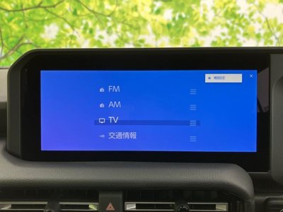2025 Toyota LAND CRUISER 250 photo 10