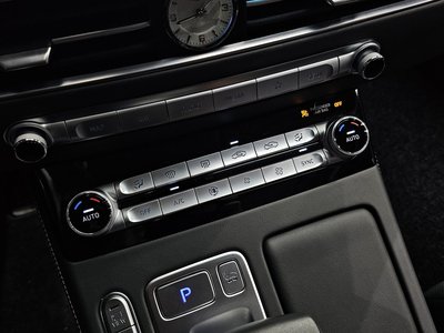 2020 Genesis G90 缩略图 29