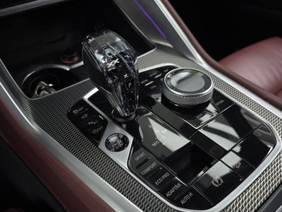 2021 BMW X6 照片 9