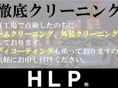 TOYOTA LAND CRUISER 300 - 10