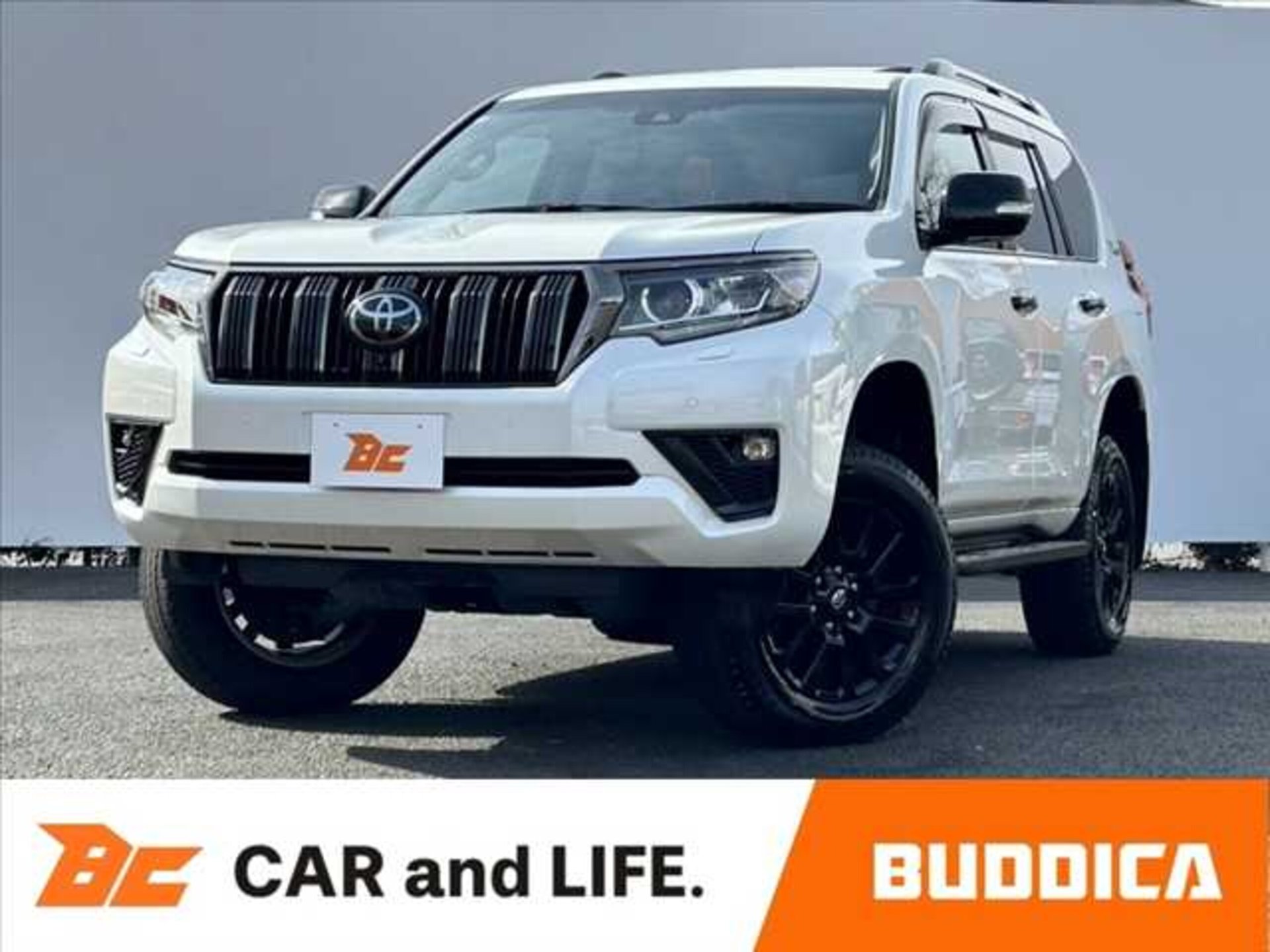 TOYOTA LAND CRUISER PRADO - View 1