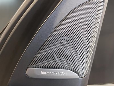 2024 BMW X7 — миниатюра 23