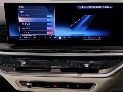 2024 BMW X7 — миниатюра 37