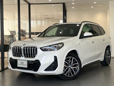 BMW X1 - 1