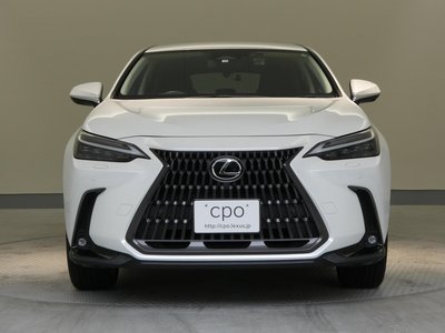 LEXUS NX - 10