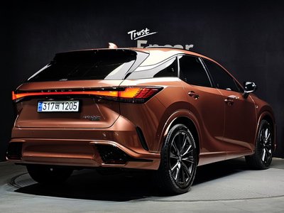 LEXUS RX - 4