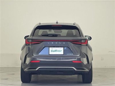 2022 Lexus NX 缩略图 34