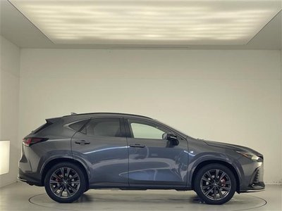 2022 Lexus NX 缩略图 38