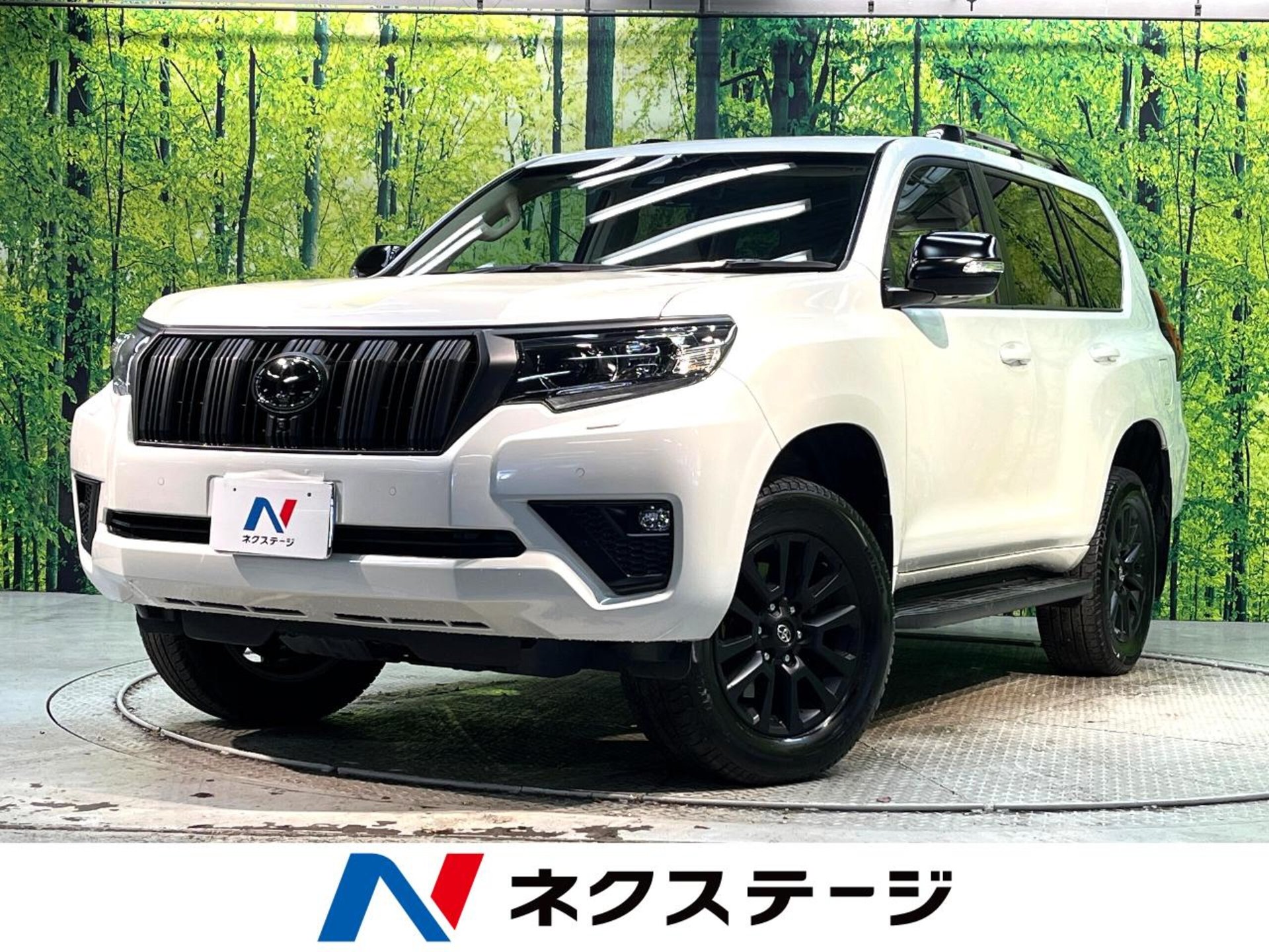 TOYOTA LAND CRUISER PRADO - View 1