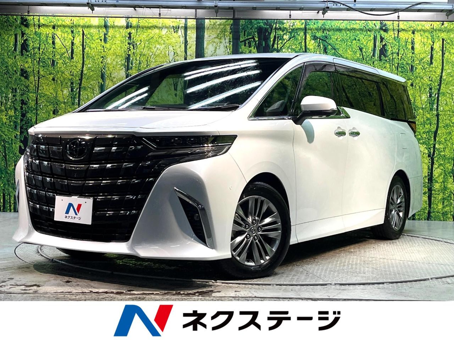 TOYOTA ALPHARD - View 1