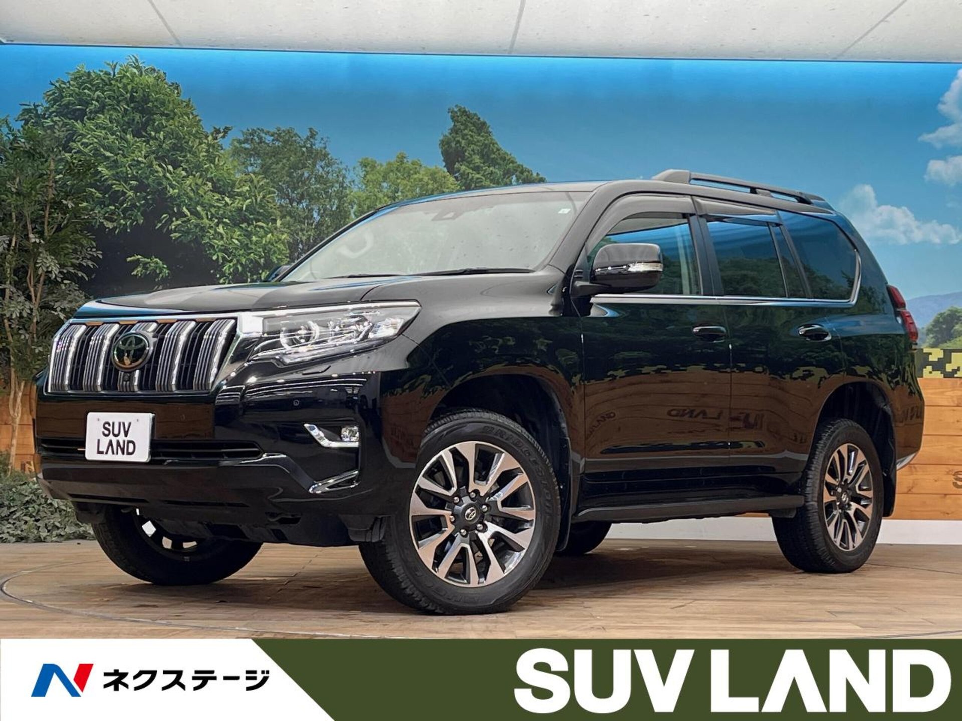TOYOTA LAND CRUISER PRADO - View 1
