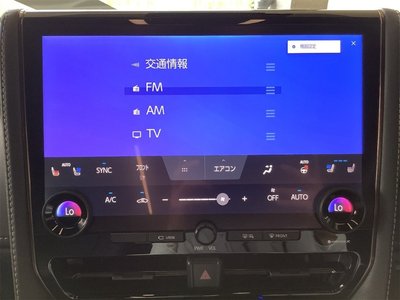 2025 TOYOTA ALPHARD thumbnail 50