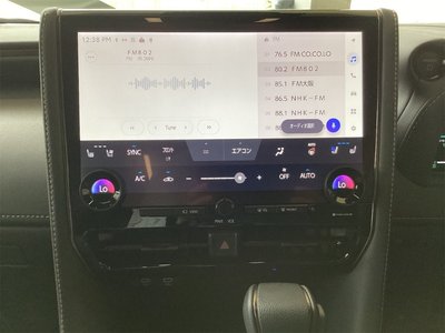 2025 TOYOTA ALPHARD photo 3