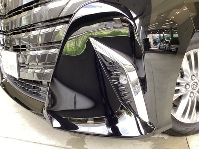 2025 TOYOTA ALPHARD thumbnail 16