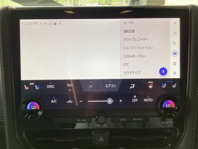 2025 TOYOTA ALPHARD thumbnail 52