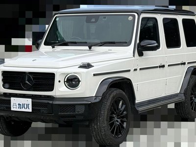 MERCEDES-BENZ G-CLASS - 1