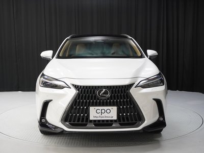 2023 LEXUS NX 照片 8