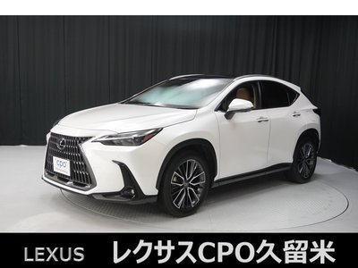 2023 LEXUS NX 照片 1