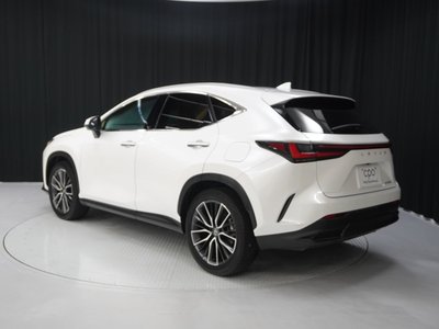 2023 LEXUS NX 照片 4