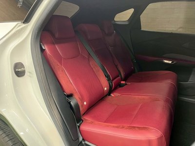 2023 Lexus RX thumbnail 47