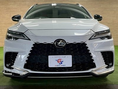2023 Lexus RX thumbnail 37