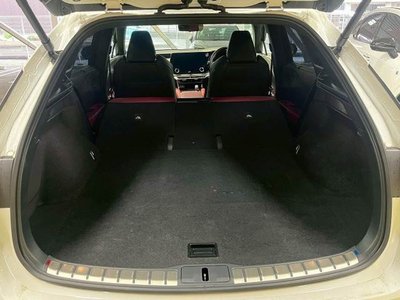 2023 Lexus RX thumbnail 20