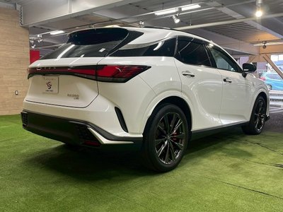 2023 Lexus RX thumbnail 31