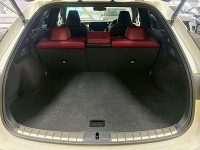 2023 Lexus RX thumbnail 29
