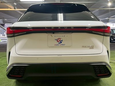 2023 Lexus RX thumbnail 30