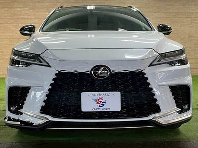 2023 Lexus RX thumbnail 17