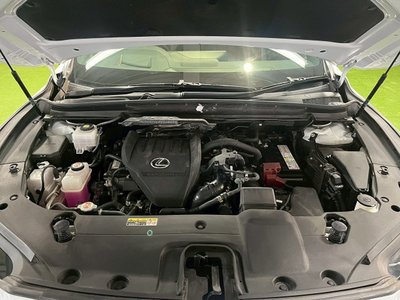 2023 Lexus RX thumbnail 24