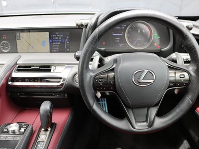 2021 Lexus LC thumbnail 13