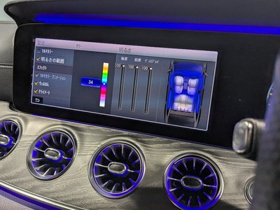 2019 Mercedes-BENZ GT AMG — миниатюра 31