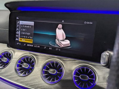 2019 Mercedes-BENZ GT AMG — миниатюра 27