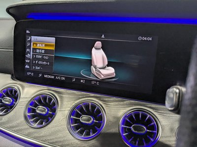 2019 Mercedes-BENZ GT AMG — миниатюра 26