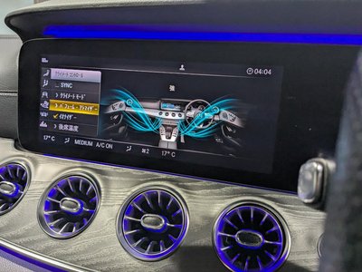2019 Mercedes-BENZ GT AMG — миниатюра 28