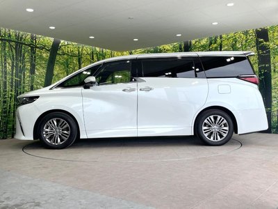 2025 Toyota ALPHARD — миниатюра 25