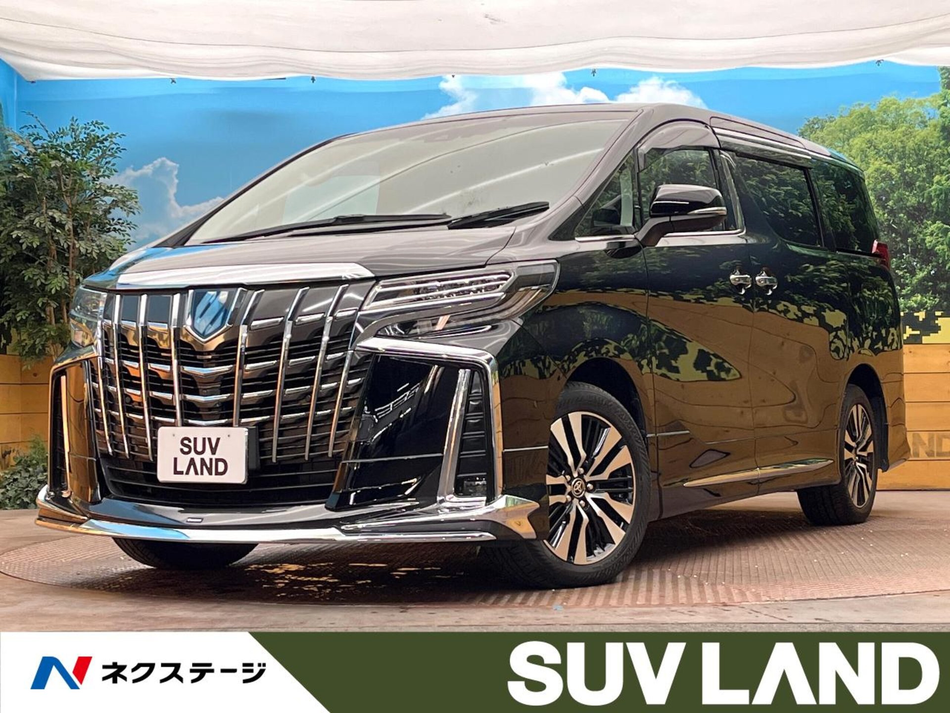 TOYOTA ALPHARD - View 1