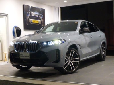 BMW X6 - 1
