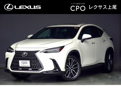 LEXUS NX - 1