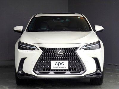 LEXUS NX - 6