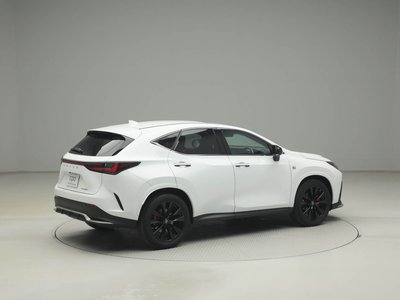 LEXUS NX - 10