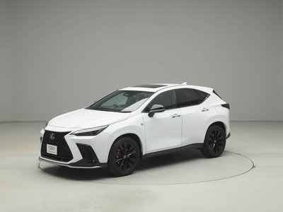 LEXUS NX - 6