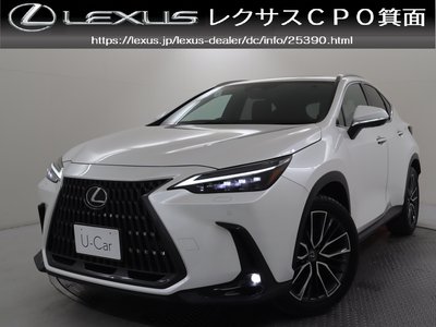 LEXUS NX - 1