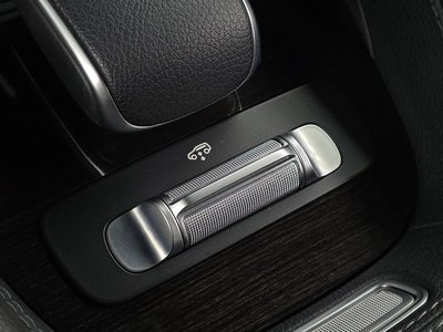 2021 Mercedes-BENZ GLE 缩略图 31