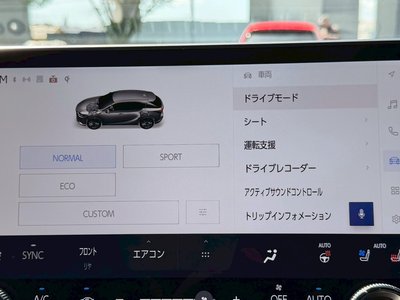 2023 Lexus RX — миниатюра 60